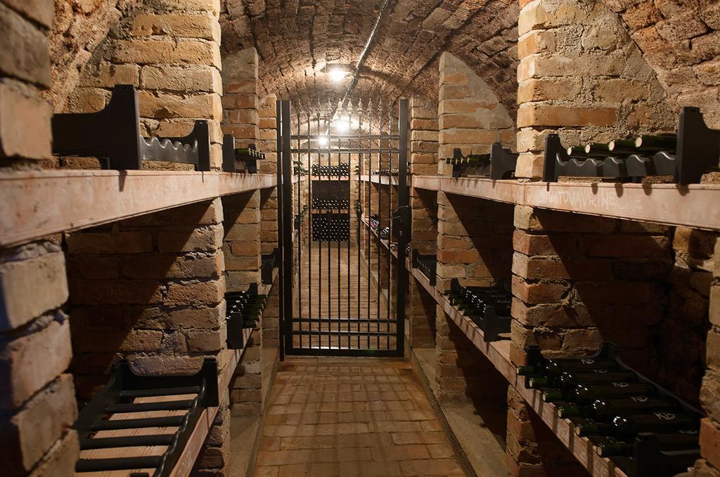 Velké Pavlovice Apartman Cabernet חדר תמונה